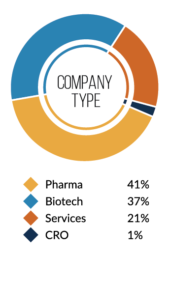 Chart for Company Type